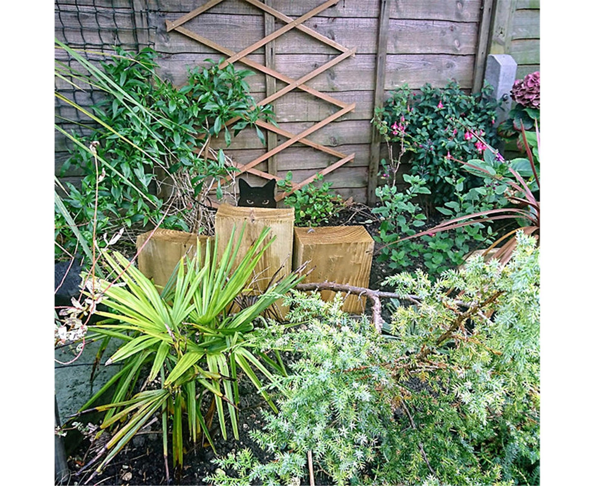 1 Set Garden Stake Peeping Cat Insert - A V1263-JX-967