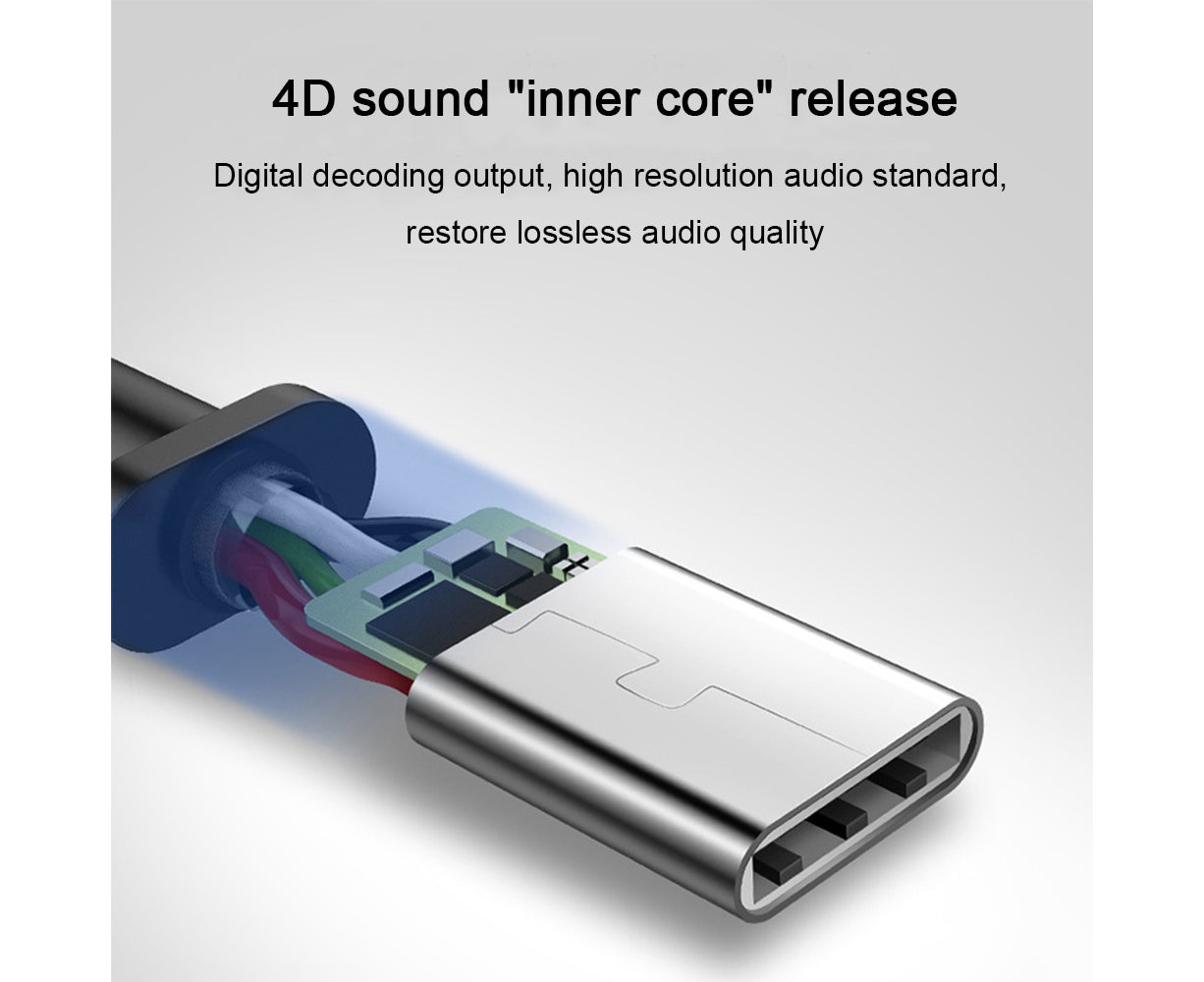 In-Ear Headphones - Type-C Connection - Wired Earphones with Mic and Noise Isolating Sound V1263-JX-996