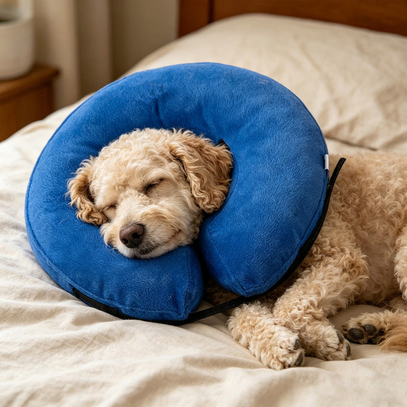 Inflatable Dog Cone Collar Alternative, Soft Dog Cone for Small Medium Large Dogs and Cats, Neck Recovery V1265-265-M