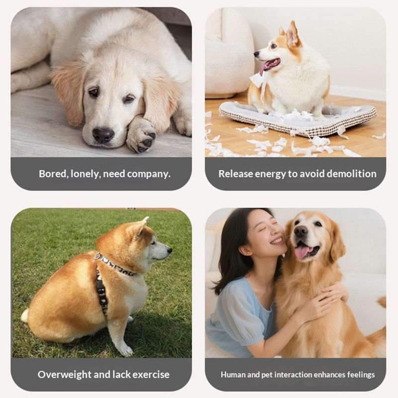 Smart Self-Rolling Pet Toy, Durable Chew Ball for Cats and Dogs to Keep Themselves Entertained - Blue V1265-AU-079-LAN