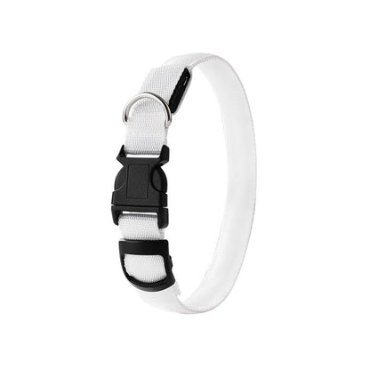 Pet LED Light-Up Collar, Large, Adjustable, USB Rechargeable, for Cats and Dogs, Nighttime Anti-Lost - White V1265-AU-081-BAI