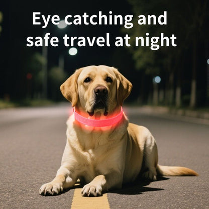 LED Light-Up Pet Collar, Large, Adjustable, USB Rechargeable, for Cats and Dogs, Nighttime Anti-Lost- Orange V1265-AU-081-CHENG