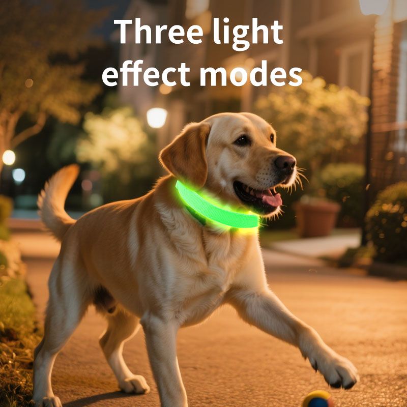 LED Light-Up Pet Collar, Large, Adjustable, USB Rechargeable, for Cats and Dogs, Nighttime Anti-Lost- Blue V1265-AU-081-LAN