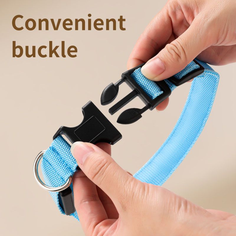 LED Light-Up Pet Collar, Large, Adjustable, USB Rechargeable, for Cats and Dogs, Nighttime Anti-Lost- Blue V1265-AU-081-LAN
