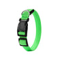 Pet LED Light-Up Collar, Large, Adjustable, USB Rechargeable, for Cats and Dogs, Nighttime Anti-Lost - Green V1265-AU-081-LV