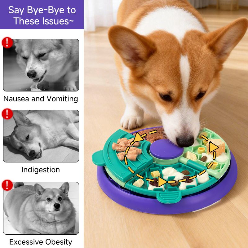 3-in-1 Pet Puzzle Slow Feeder Bowl with Multi-Level Rotating Disk - Purple-green V1265-AU-084-LV