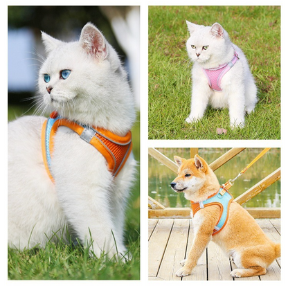 Breathable Reflective Pet Harness Set: Vest-Style Dog Harness + Leash - Orange and Blue-S V1265-AU-098-CHENGLAN-S