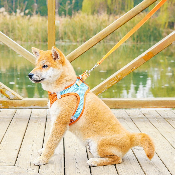 Breathable Reflective Pet Harness Set: Vest-Style Dog Harness + Leash - Blue-M V1265-AU-098-LAN-M
