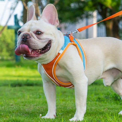 Breathable Reflective Pet Harness Set: Vest-Style Dog Harness + Leash - Blue-XXS V1265-AU-098-LAN-XXS