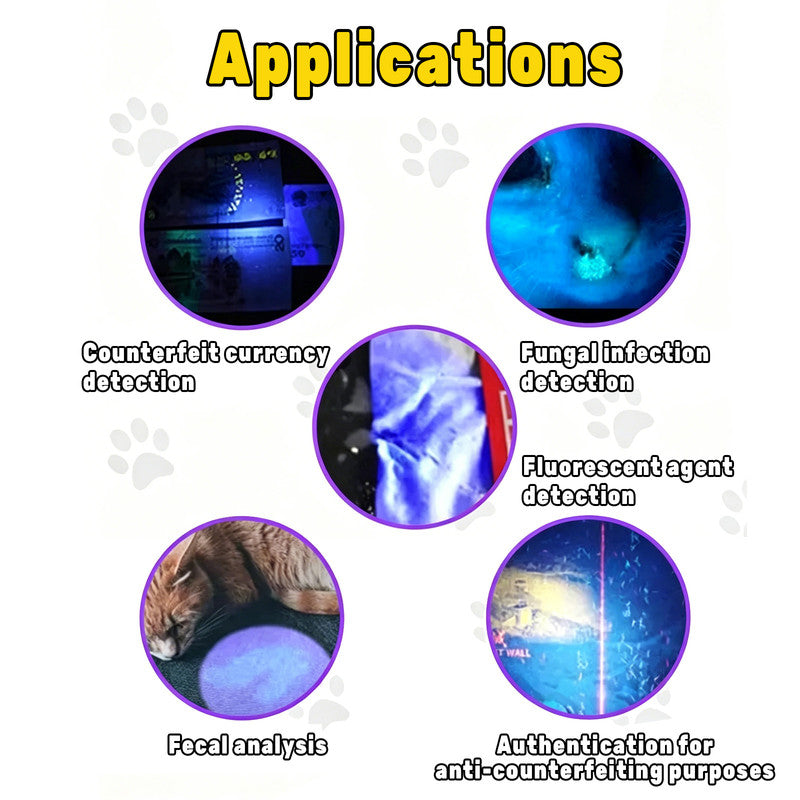 365nm UV Detection Light - Home Use Fluorescent Currency Authentication and Counterfeit Detection - Portable V1265-PH141