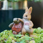 Resin Ornament Racing Turtle and Rabbit in Rustic Cute Style for Tables, Cabinets, and Gardens V1265-YY-03