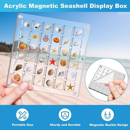 Acrylic Magnetic Seashell Display Box,Clear Sea Shell Display Box,Beach Magnet Storage Organizer Case for V1265-YY-26