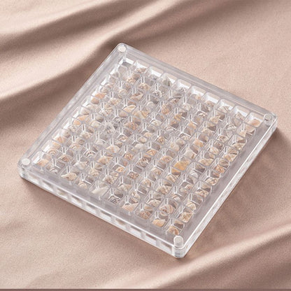 Acrylic Magnetic Seashell Display Box,Clear Sea Shell Display Box,Beach Magnet Storage Organizer Case for V1265-YY-28
