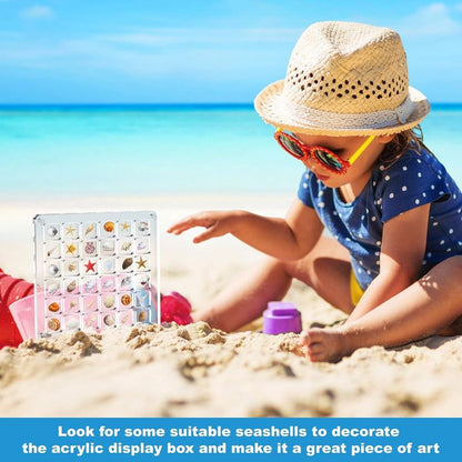 Acrylic Magnetic Seashell Display Box,Clear Sea Shell Display Box,Beach Magnet Storage Organizer Case for V1265-YY-28