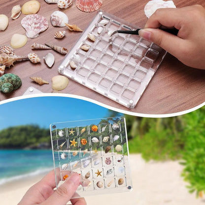 Acrylic Magnetic Seashell Display Box,Clear Sea Shell Display Box,Beach Magnet Storage Organizer Case for V1265-YY-28
