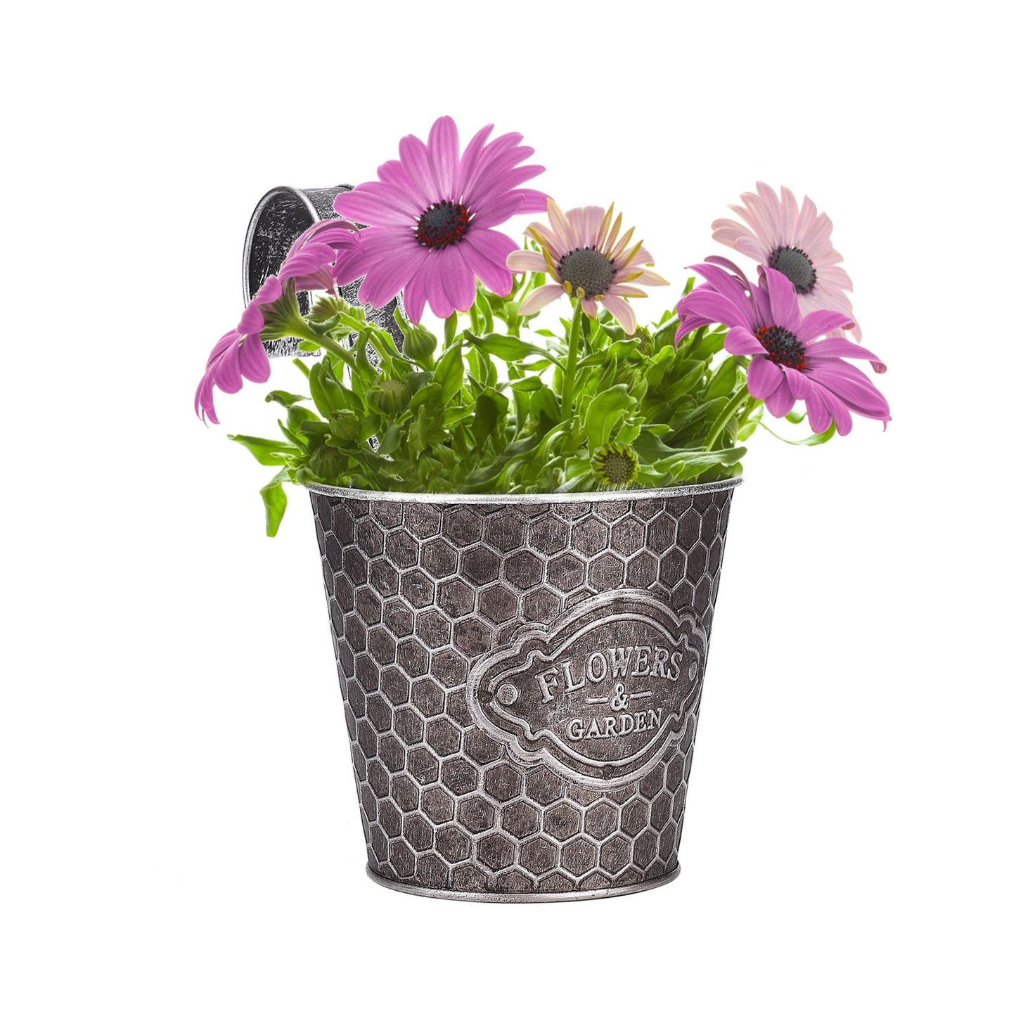 Metal Wall Planter Vertical Ribbed Design Wall Mount Flower Pot V1294-YM0512-221028TW14-1