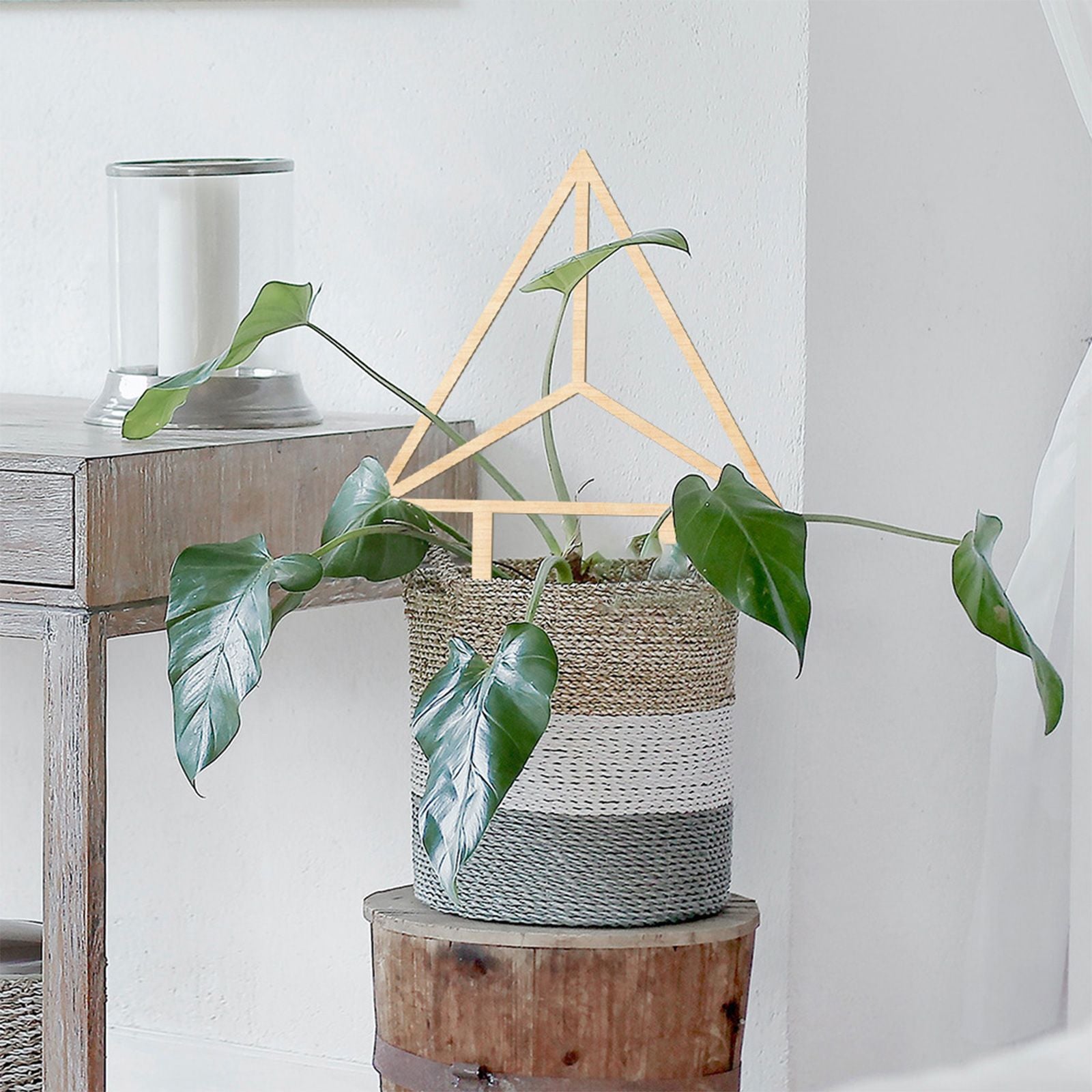 Climbing Vine Fixed Frame China Rose Flower Holder Indoor Flower Plant Support Pole V1294-YM0512-221105DJ02-3
