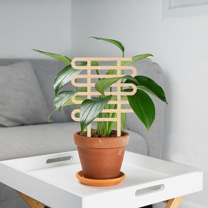 Climbing Vine Fixed Frame China Rose Flower Holder Indoor Flower Plant Support Pole V1294-YM0512-221105DJ02-4