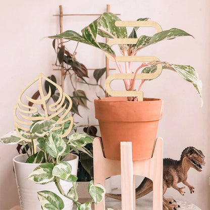 Climbing Vine Fixed Frame China Rose Flower Holder Indoor Flower Plant Support Pole V1294-YM0512-221105DJ02-4