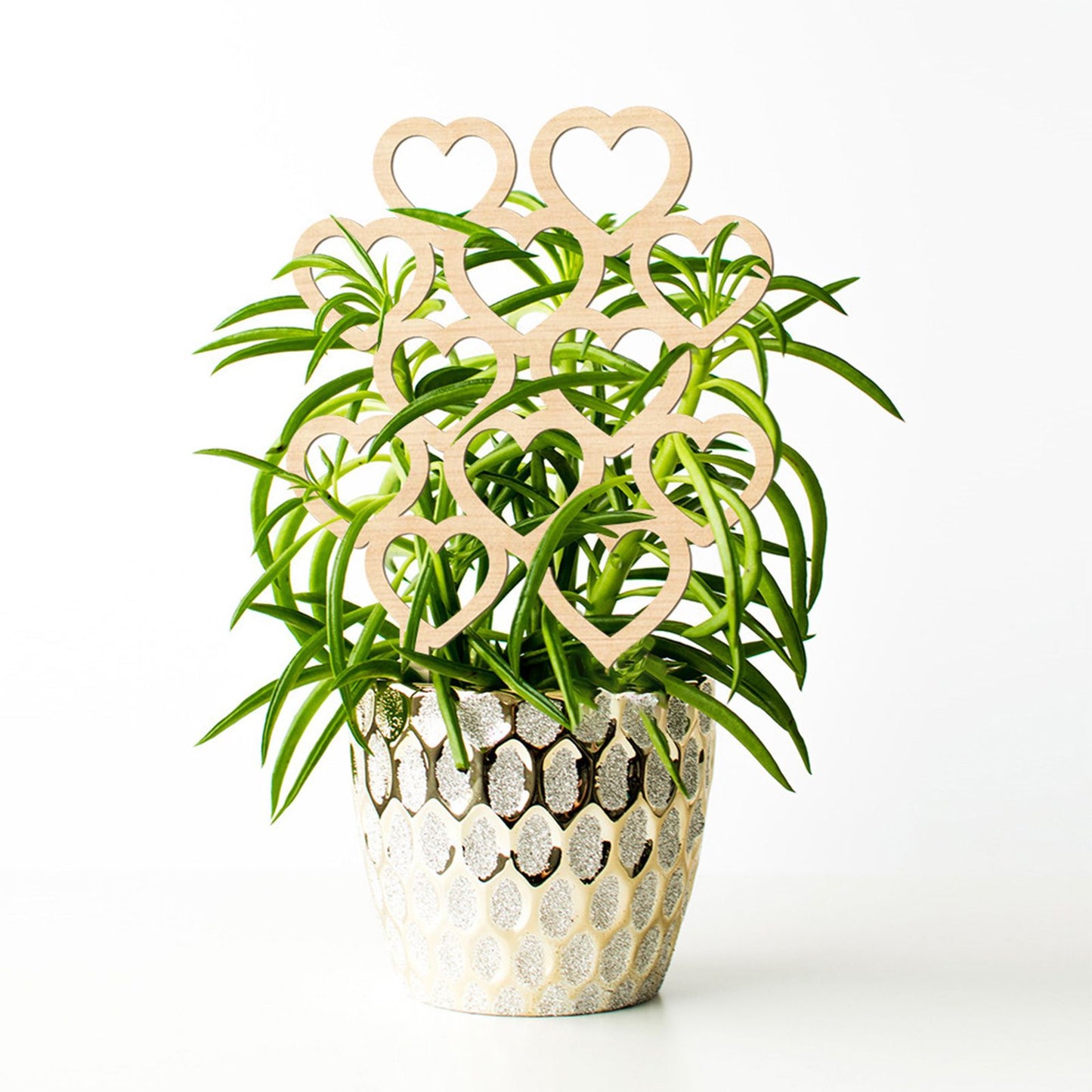 Climbing Vine Fixed Frame China Rose Flower Holder Indoor Flower Plant Support Pole V1294-YM0512-221105DJ02-8