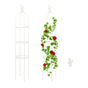 Gardening Climbing Vine Plant Climbing Vine Trellis for Climbing Plants V1294-YM0512-221116YA01-4
