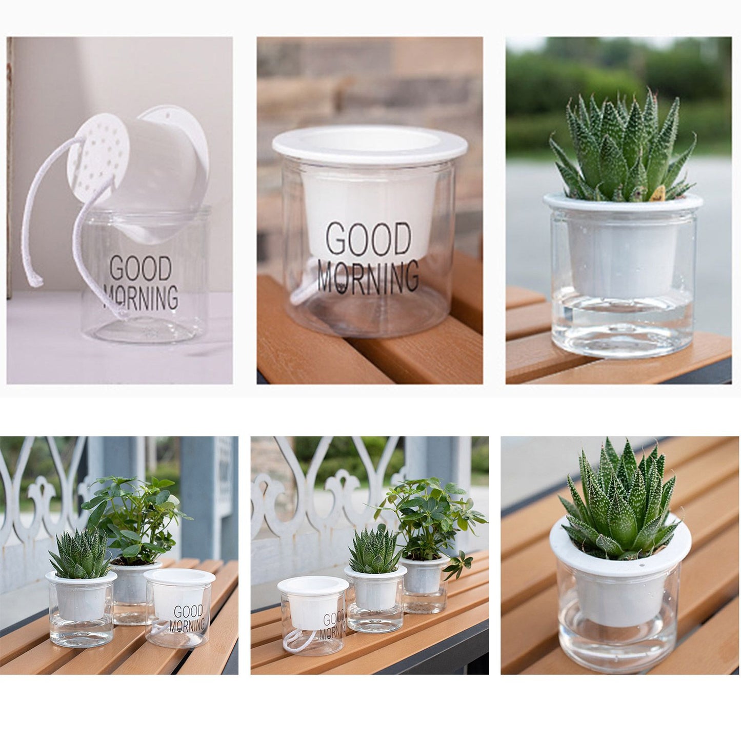 Automatic Water Absorbing Transparent Pot Creative Round Office Desktop Green Plant Hydroponic Plastic Flower V1294-YM0512-221209HR02-2