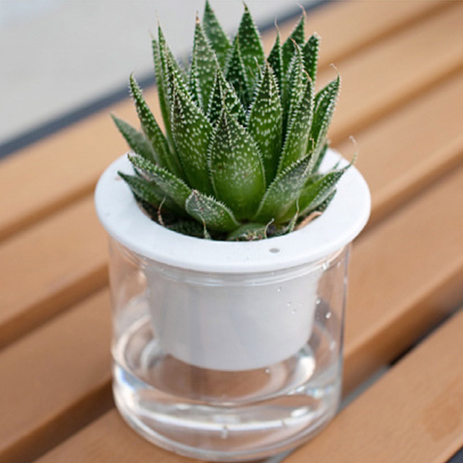 Automatic Water Absorbing Transparent Pot Creative Round Office Desktop Green Plant Hydroponic Plastic Flower V1294-YM0512-221209HR02-2