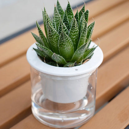 Automatic Water Absorbing Transparent Pot Creative Round Office Desktop Green Plant Hydroponic Plastic Flower V1294-YM0512-221209HR02-2