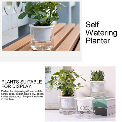 Automatic Water Absorbing Transparent Pot Creative Round Office Desktop Green Plant Hydroponic Plastic Flower V1294-YM0512-221209HR02-2