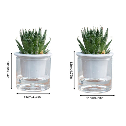 Automatic Water Absorbing Transparent Pot Creative Round Office Desktop Green Plant Hydroponic Plastic Flower V1294-YM0512-221209HR02-2