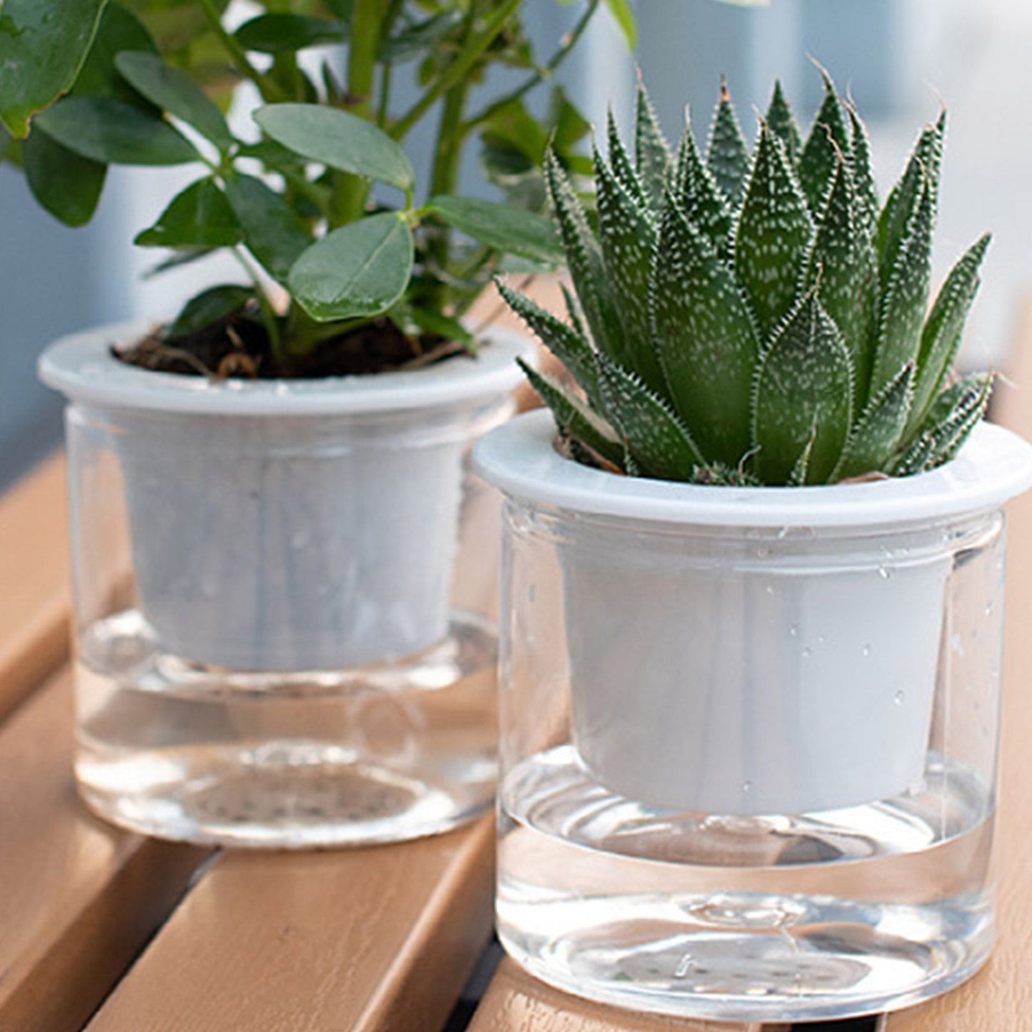 Automatic Water Absorbing Transparent Pot Creative Round Office Desktop Green Plant Hydroponic Plastic Flower V1294-YM0512-221209HR02-2