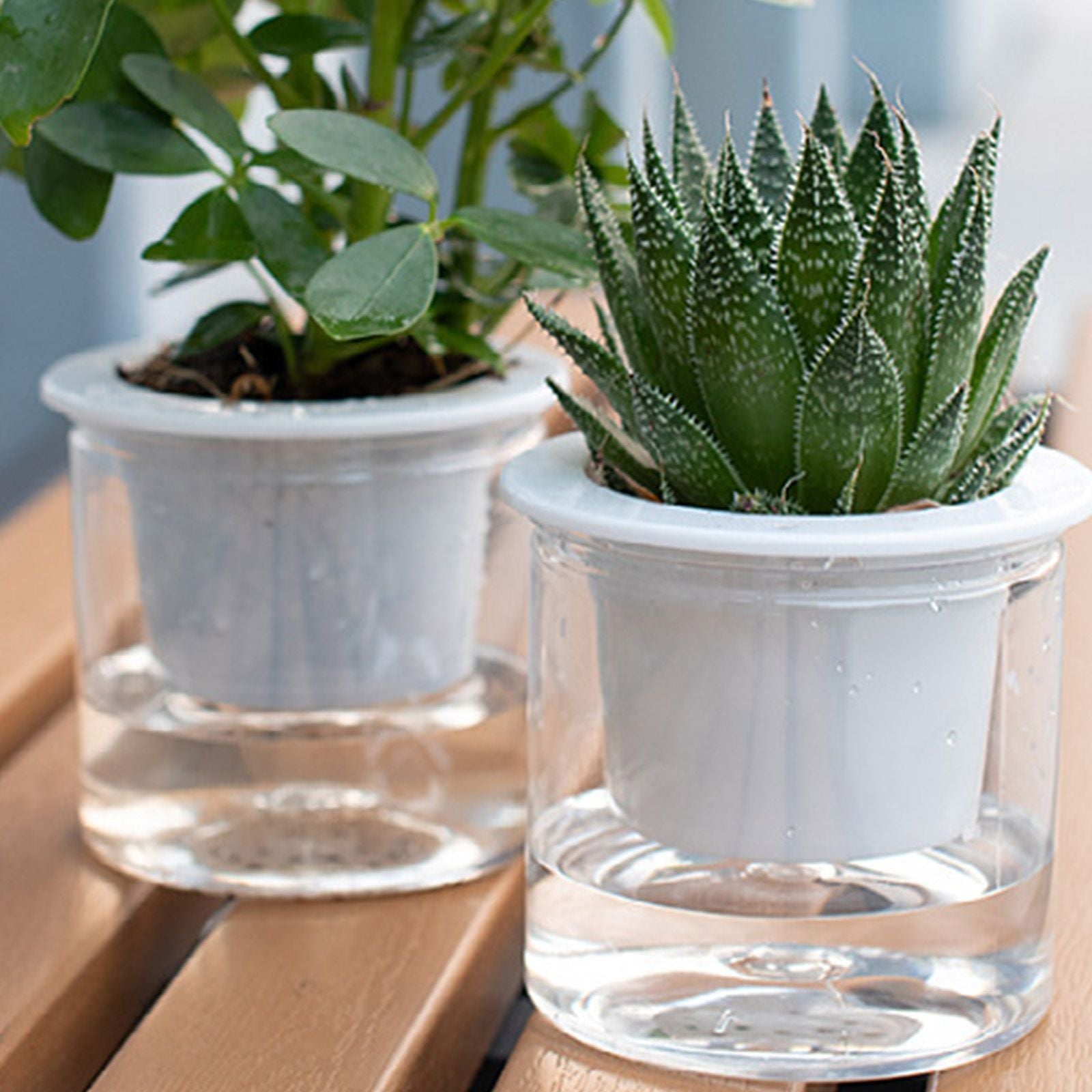 Automatic Water Absorbing Transparent Pot Creative Round Office Desktop Green Plant Hydroponic Plastic Flower V1294-YM0512-221209HR02-2
