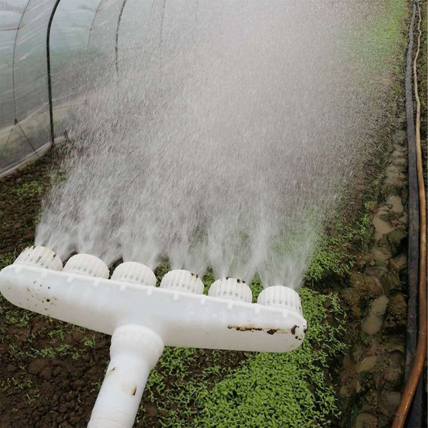 Sprinkler Head Plastic Multifunction Watering Misting Sprinkler for Garden Outdoor Agriculture Five Holes V1294-YM0512-3111220284813