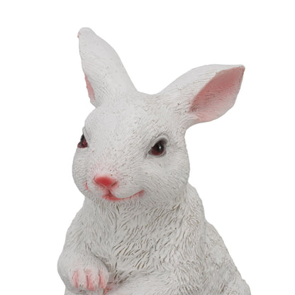 1 Pair Bunny Rabbit Ornaments Decorations Resin Art Craft Animal Model Sculpture Statue Figurine for Balcony V1294-YM0512-3111220285911
