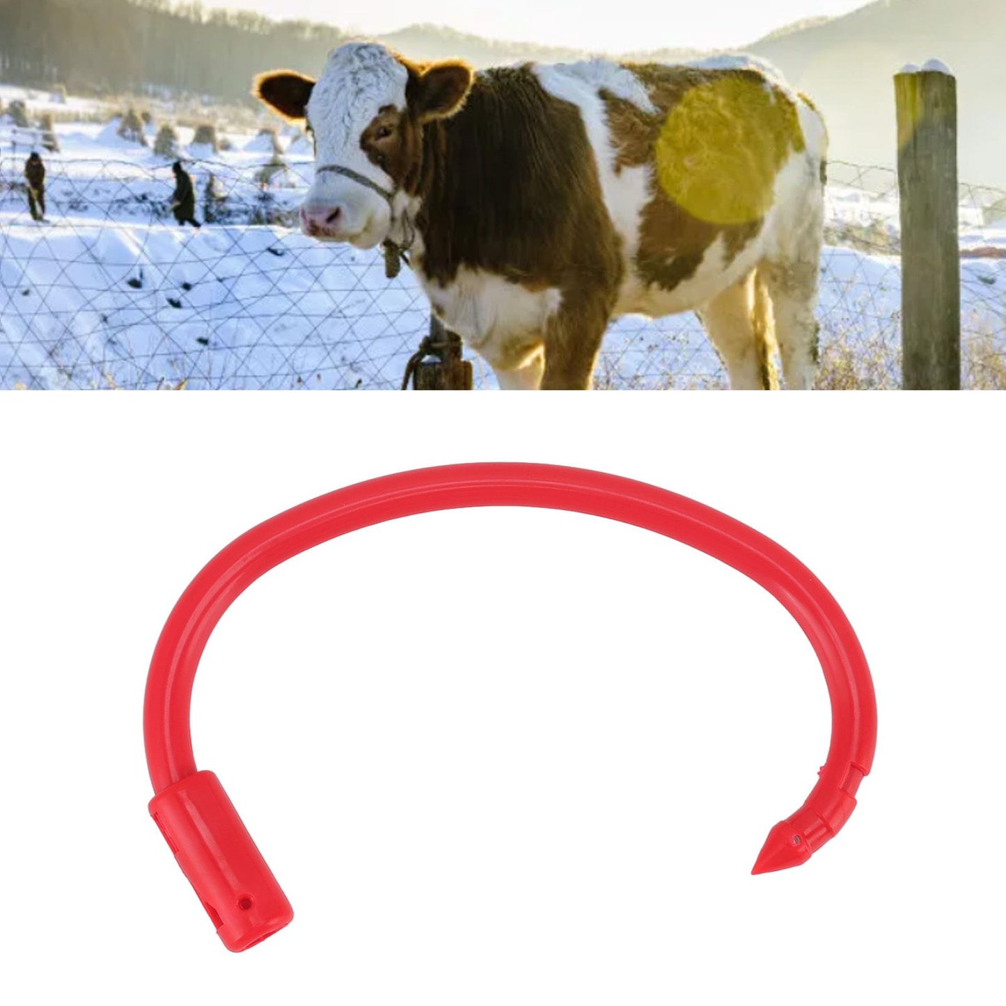 10 PCS Plastic Cow Nose Ring Large Cattle Breeding Nose Ring Livestock Nose Traction Rings V1294-YM0512-3111220290511