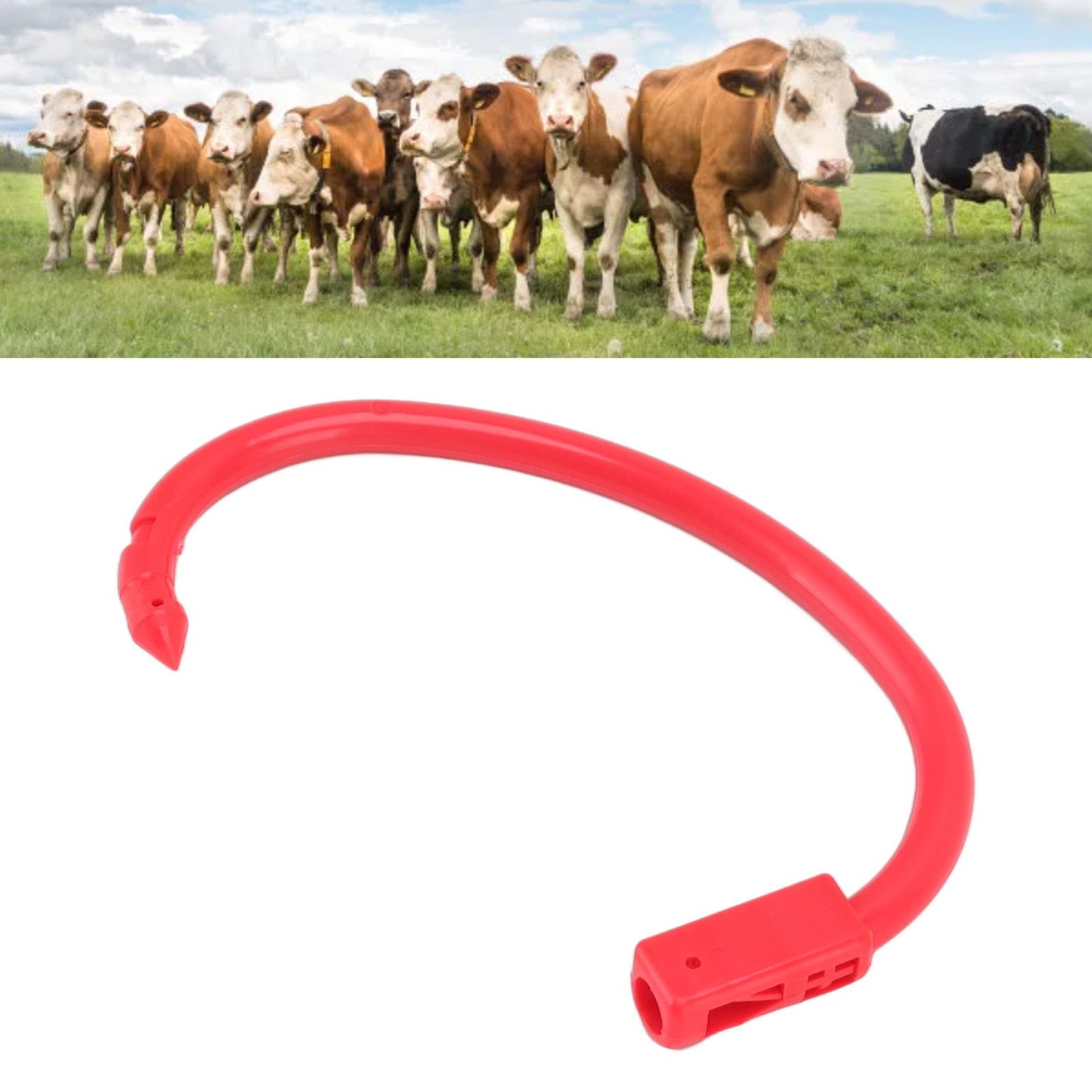 10 PCS Plastic Cow Nose Ring Large Cattle Breeding Nose Ring Livestock Nose Traction Rings V1294-YM0512-3111220290511