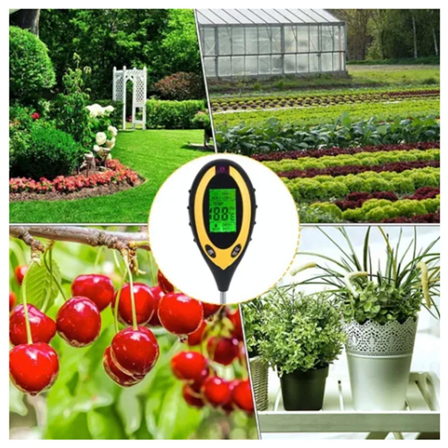 4 In 1 Soil Meter Temperature Sunlight Moisture PH Soil Tester for Family Orchard Agriculture Rice Vegetable V1294-YM0512-3111220293411