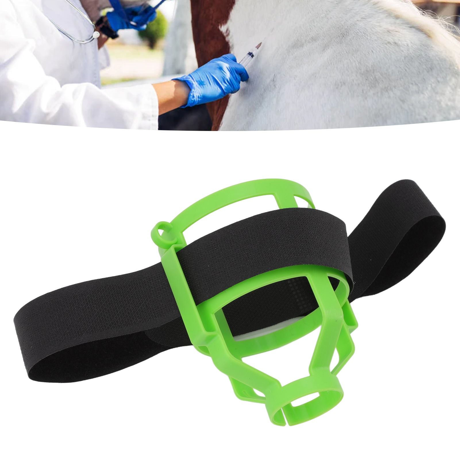 4 Pcs Animal Medicine Bottle Plastic Net Case for Veterinarian Animal Injection Animal Treatment V1294-YM0512-3111220295311