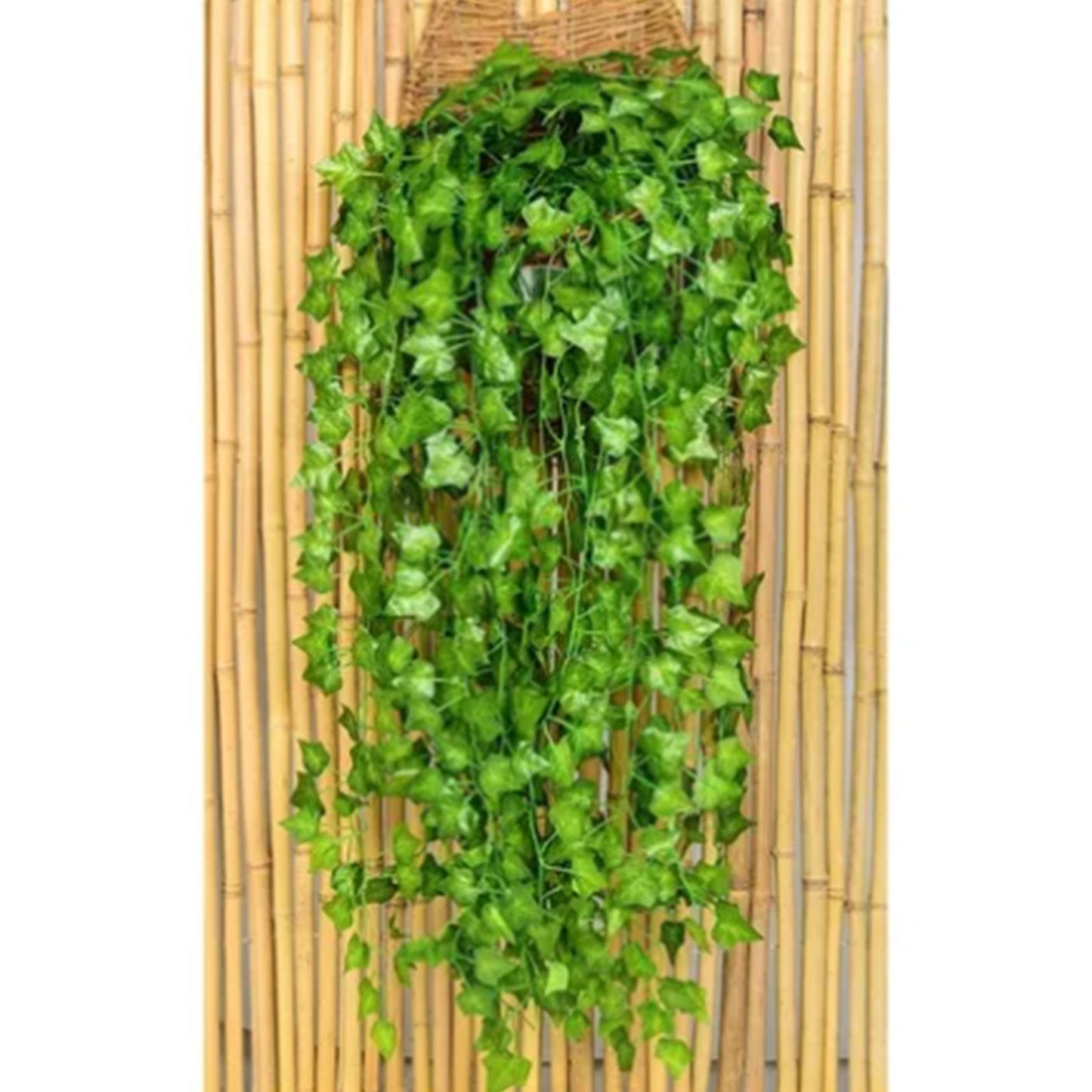 Simulated Ivy Cane Creeper Ivy Decorative Green Plants Ceiling Artificial Vine Eucalyptus Leaves 12PCS V1294-YM0512-3111220295411