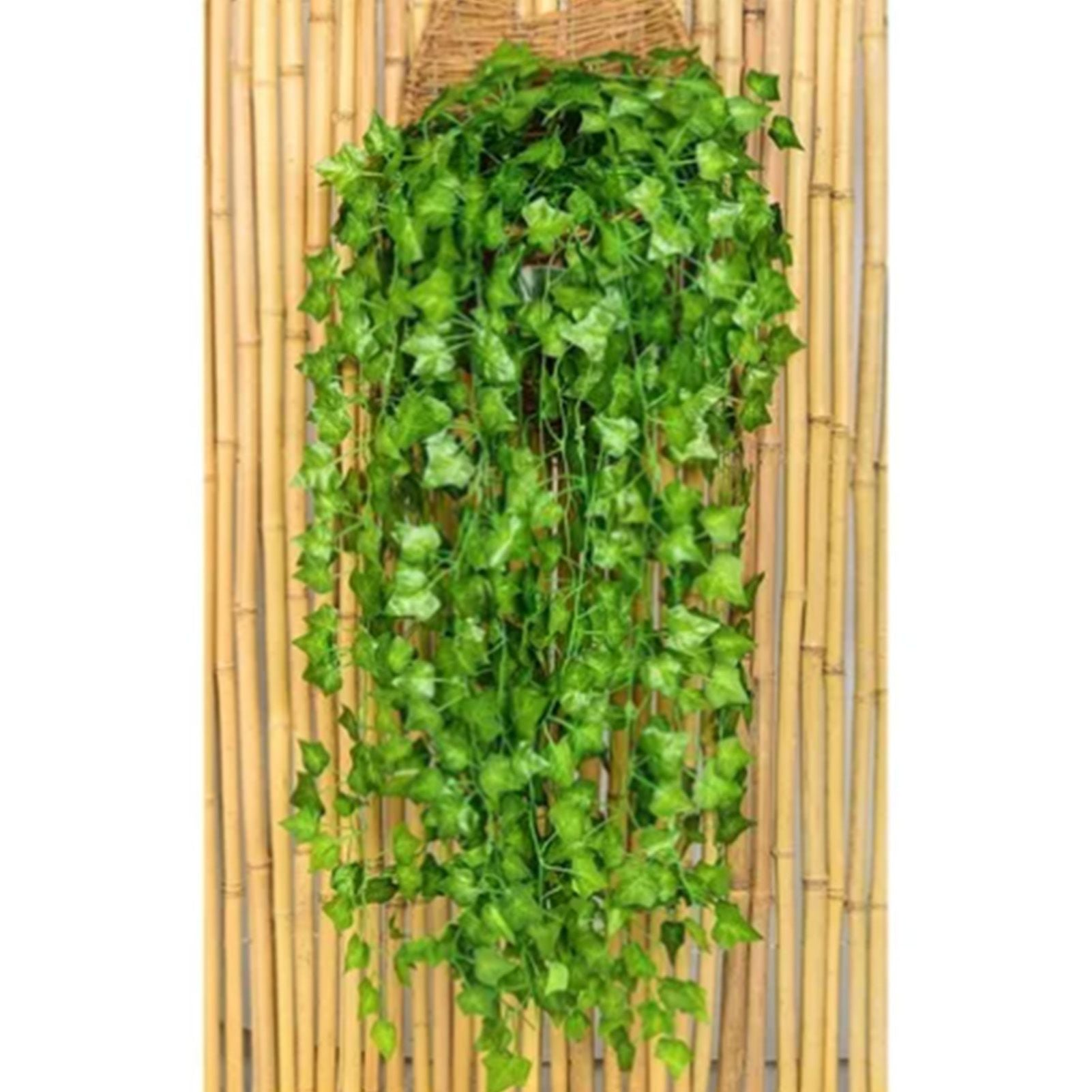 Simulated Ivy Cane Creeper Ivy Decorative Green Plants Ceiling Artificial Vine Eucalyptus Leaves 12PCS V1294-YM0512-3111220295411