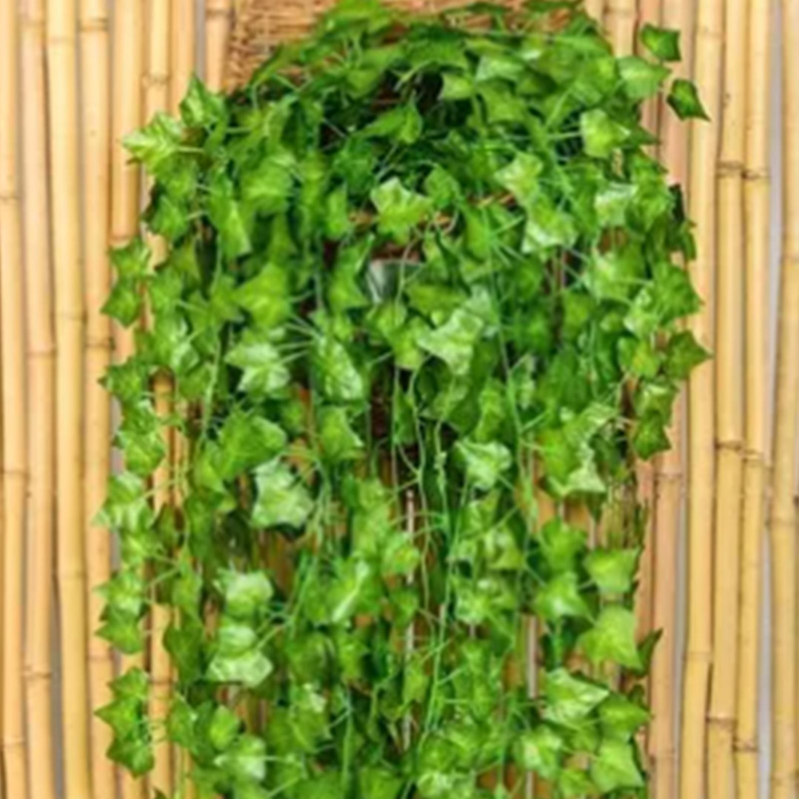 Simulated Ivy Cane Creeper Ivy Decorative Green Plants Ceiling Artificial Vine Eucalyptus Leaves 12PCS V1294-YM0512-3111220295411