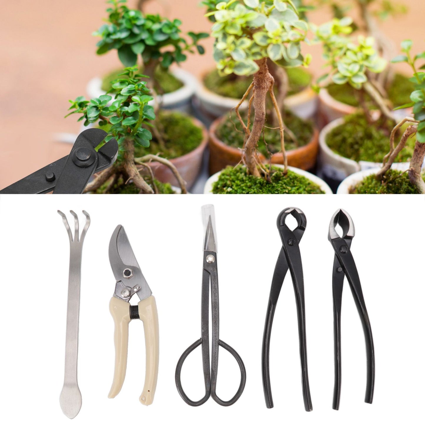 5Pcs Bonsai Tool Set Kit Carbon Steel Bonsai Scissors Rake Branch Cutter Pruning Shears Pliers Garden Tools V1294-YM0512-3111220300311