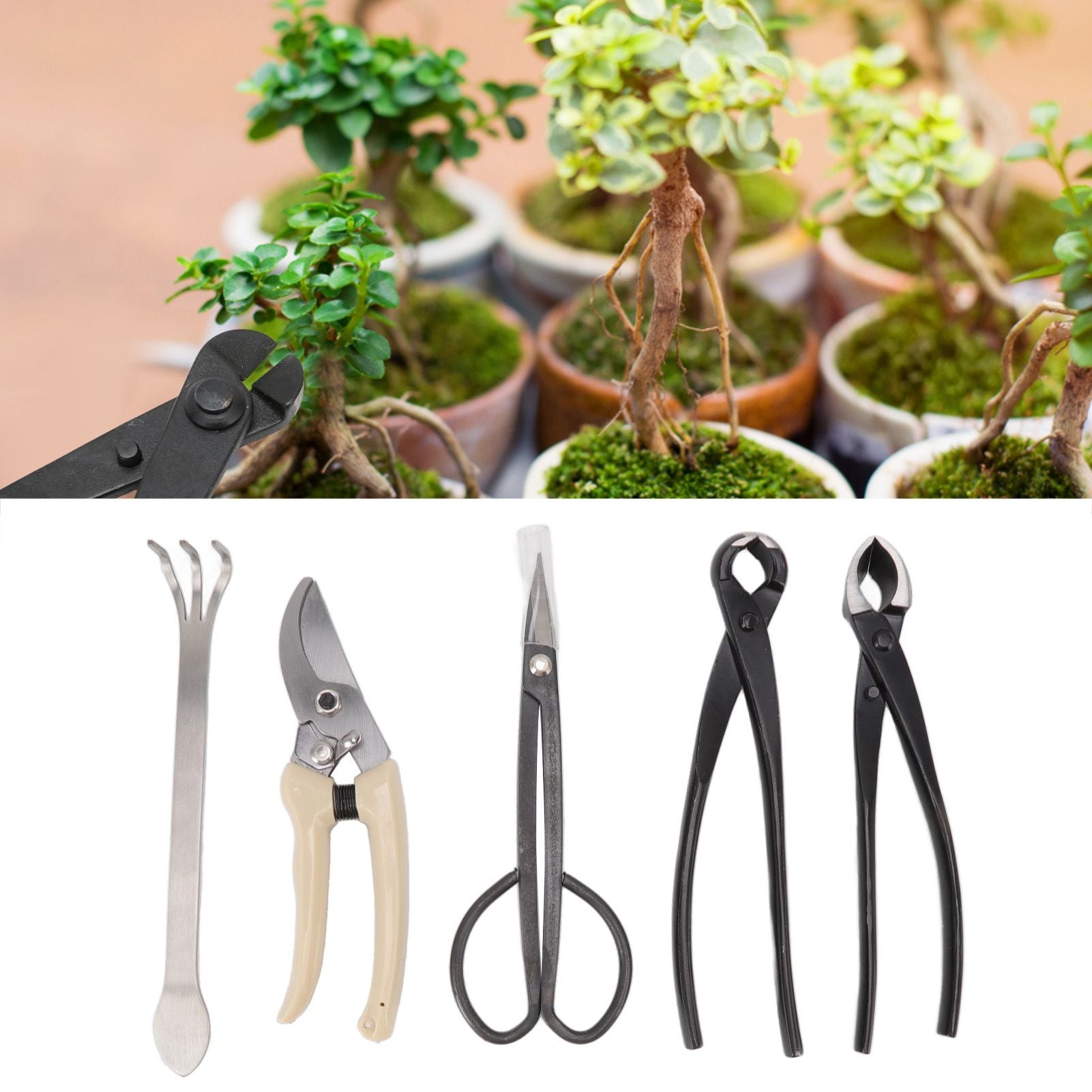 5Pcs Bonsai Tool Set Kit Carbon Steel Bonsai Scissors Rake Branch Cutter Pruning Shears Pliers Garden Tools V1294-YM0512-3111220300311