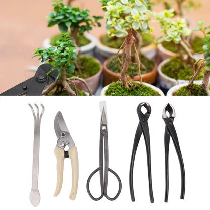 5Pcs Bonsai Tool Set Kit Carbon Steel Bonsai Scissors Rake Branch Cutter Pruning Shears Pliers Garden Tools V1294-YM0512-3111220300311