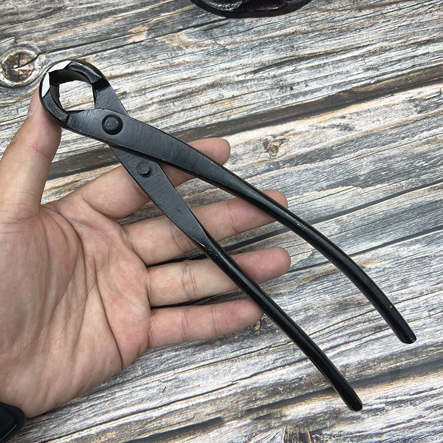 5Pcs Bonsai Tool Set Kit Carbon Steel Bonsai Scissors Rake Branch Cutter Pruning Shears Pliers Garden Tools V1294-YM0512-3111220300311