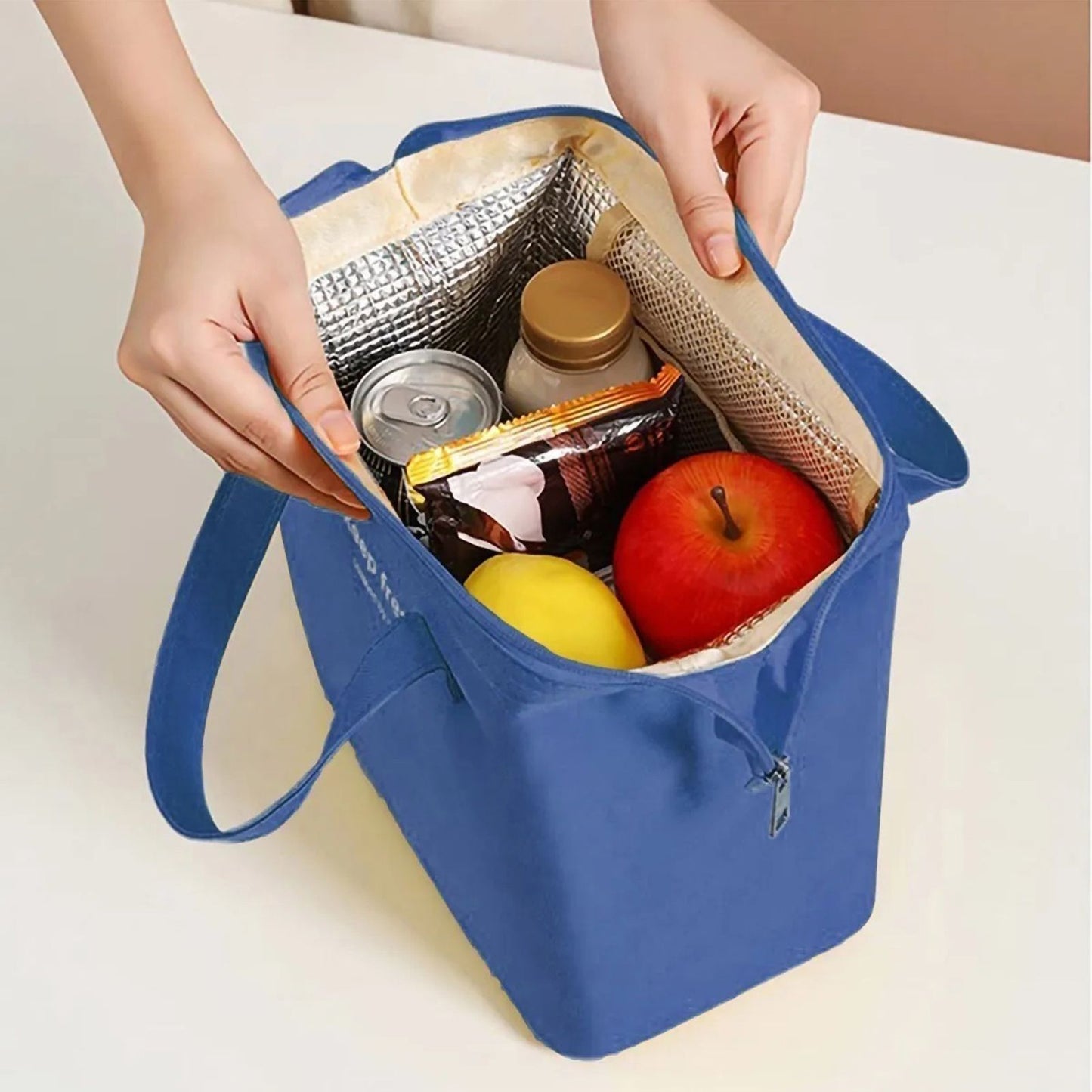 Insulated Lunch Bag Solid Color Oxford Cloth Waterproof Metal Zipper Portable Lunchbox for Commuting Royalblue V1294-YM0512-3118220275811