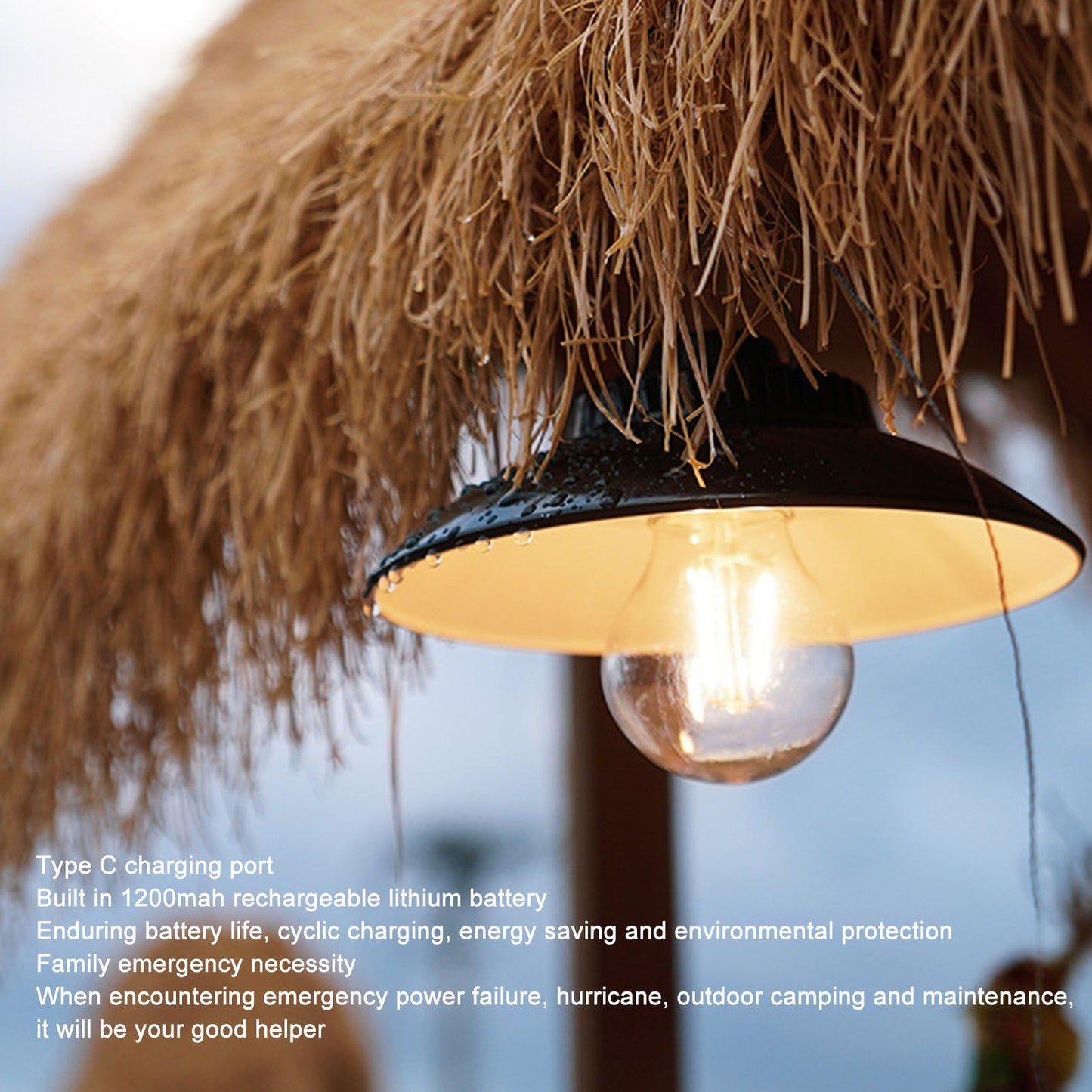 Hanging LED Camping Light Warm Light Lightweight Portable USB Charging LED Hook Camping Lamp with Hook for V1294-YM0512-3119220162411