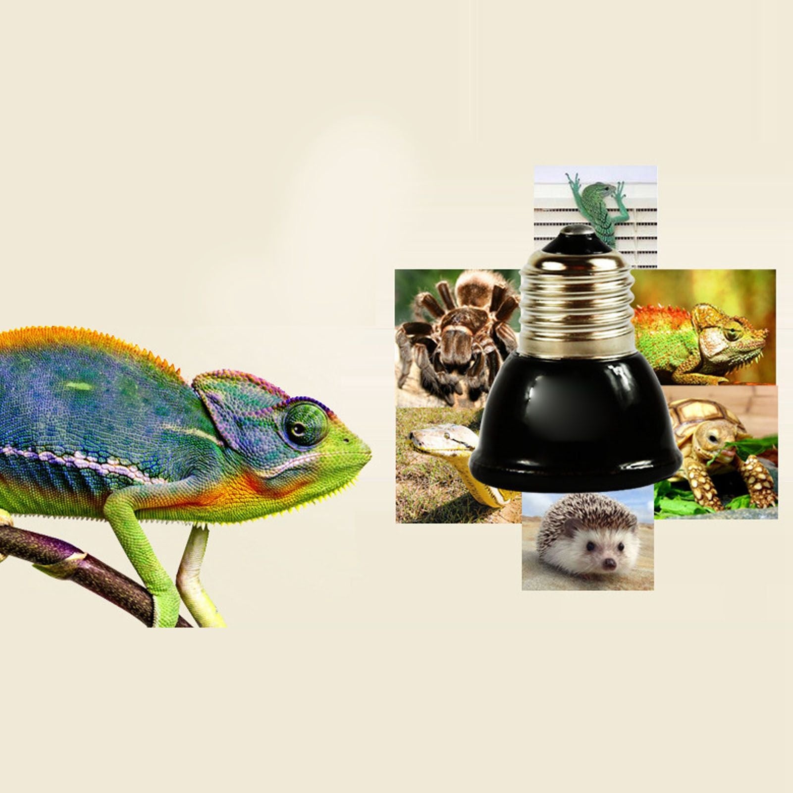 100W Ceramic Heating Lamp Non Luminous Pet Heating Light for Reptile Home 220V Black V1294-YM0512-3119220164811
