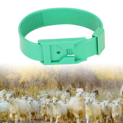 10Pcs Goat Collar Sheep Identification Bands Livestock Marking Ring Farming Equipment 36cm Green V1294-YM0521-3111230027212