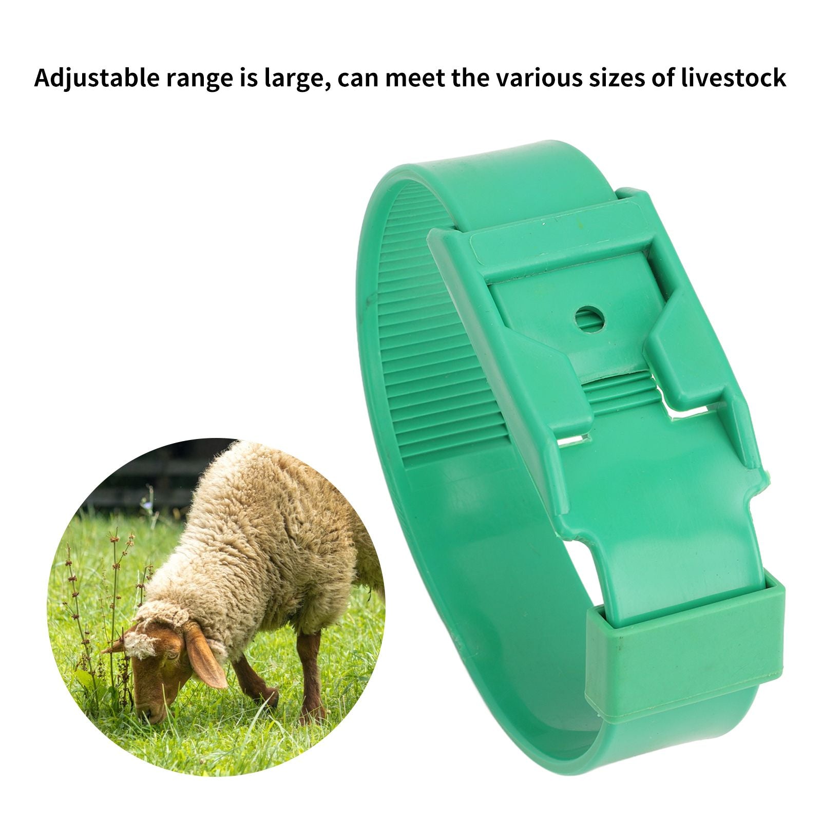 10Pcs Goat Collar Sheep Identification Bands Livestock Marking Ring Farming Equipment 36cm Green V1294-YM0521-3111230027212
